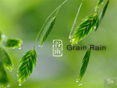 Китайский шестой солнечный термин «зерновой дождь»